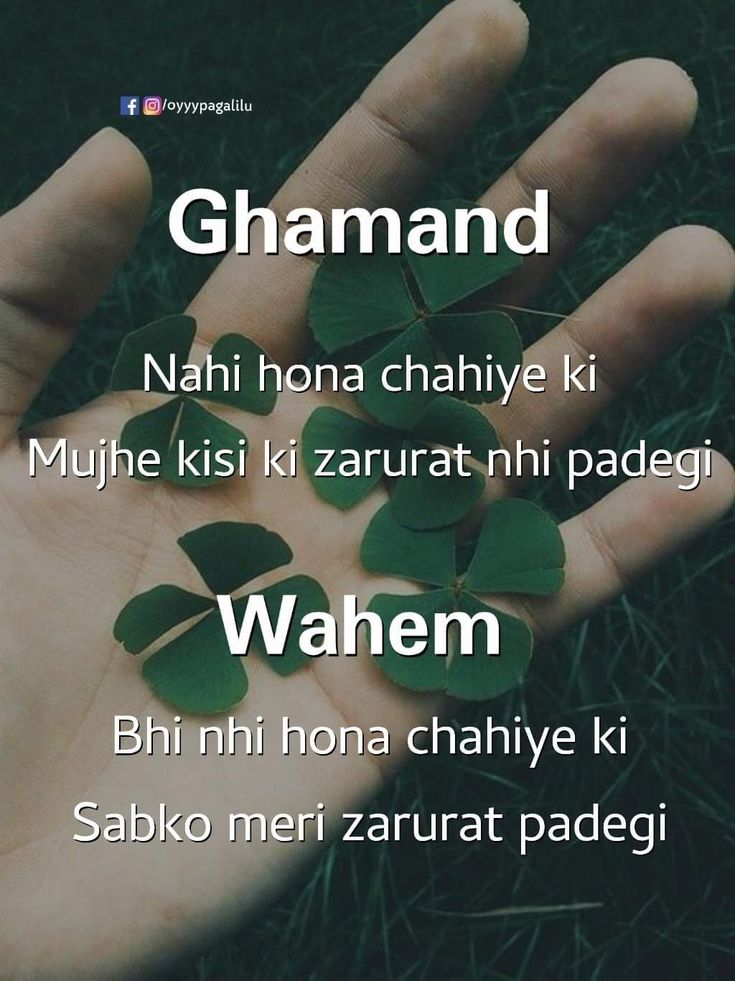 Nehains28587102's tweet image. #Ghamand
#Wahem