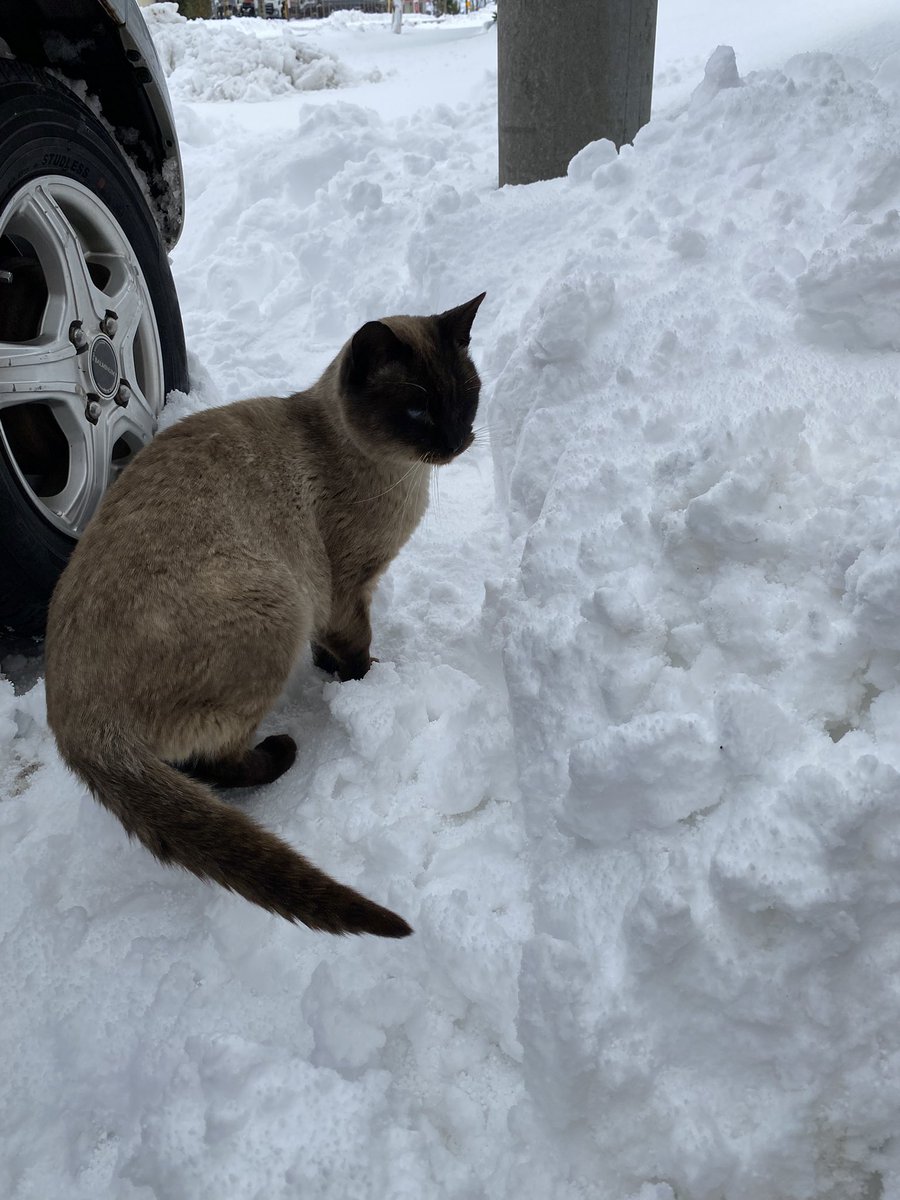 バイビからビトゲに本格移行
取り敢えず今のポジはこんな感じ
暇つぶしとちょっとした目的あってやってきた事なんだけど
なんか仮想通貨も飽きてきた
つか
トレード自体飽きてきた
取り敢えず今のポジロング多めの両建て
#BTC