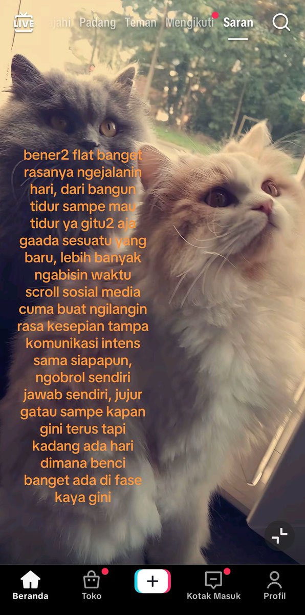 zzmelln tweet media
