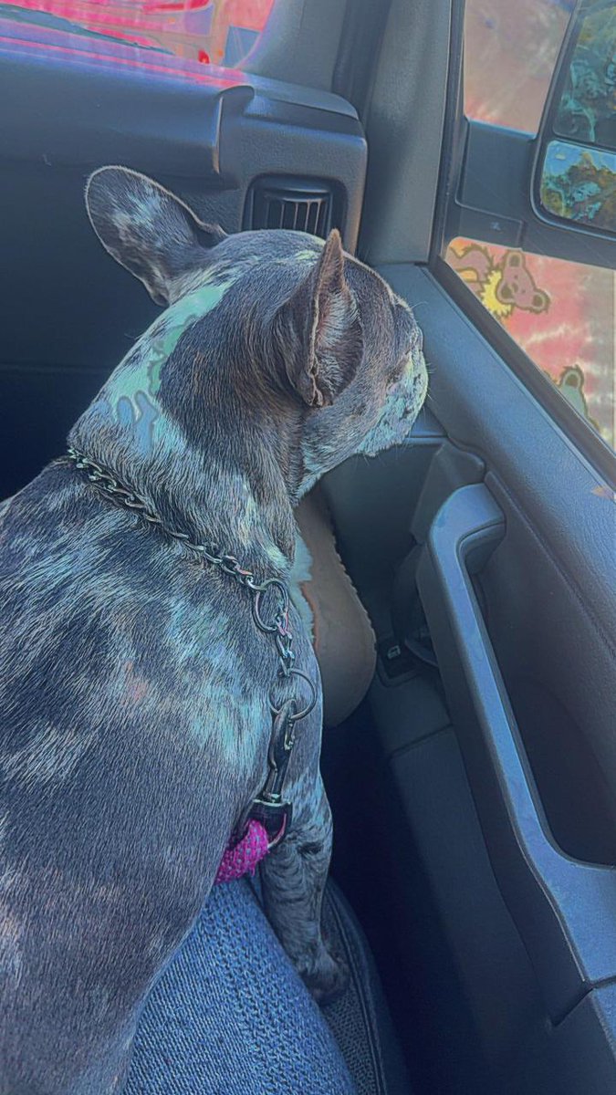 UnityGala's tweet image. 📱I Gala en su canal de difusión en Ig

#GalaMontes

"A trabajar"