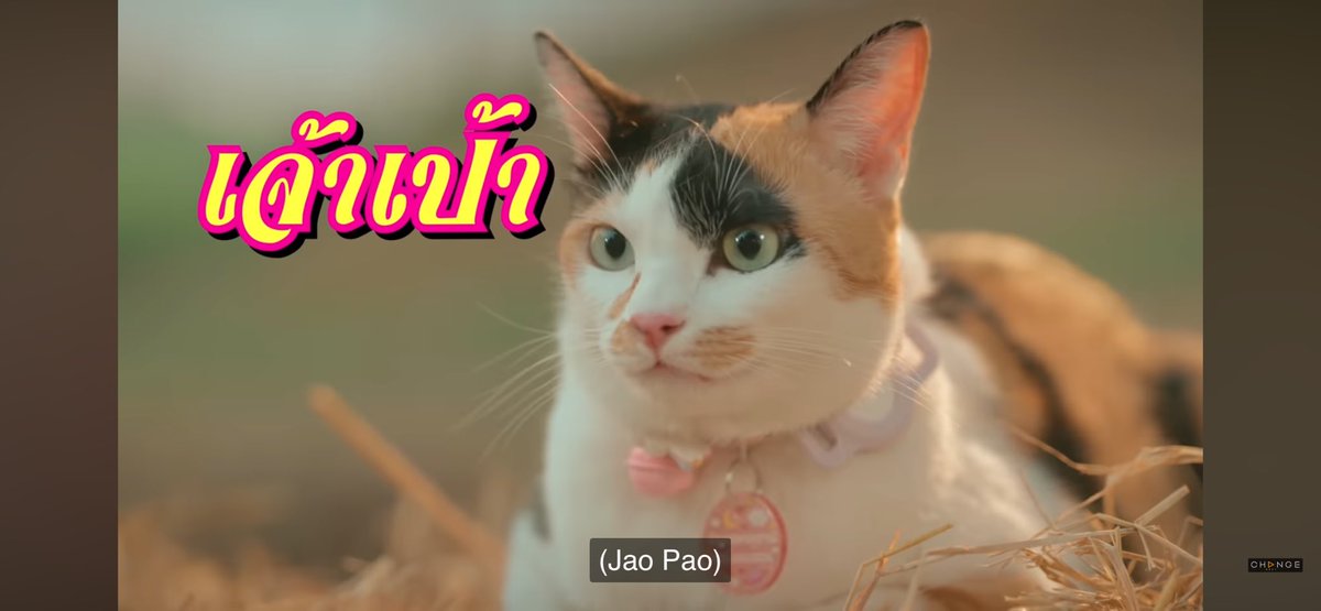 Mano eu amei a gama nova de atores pra esse GL, elenco perfeito, quando lança????

#LMSY 
#HometownRomance