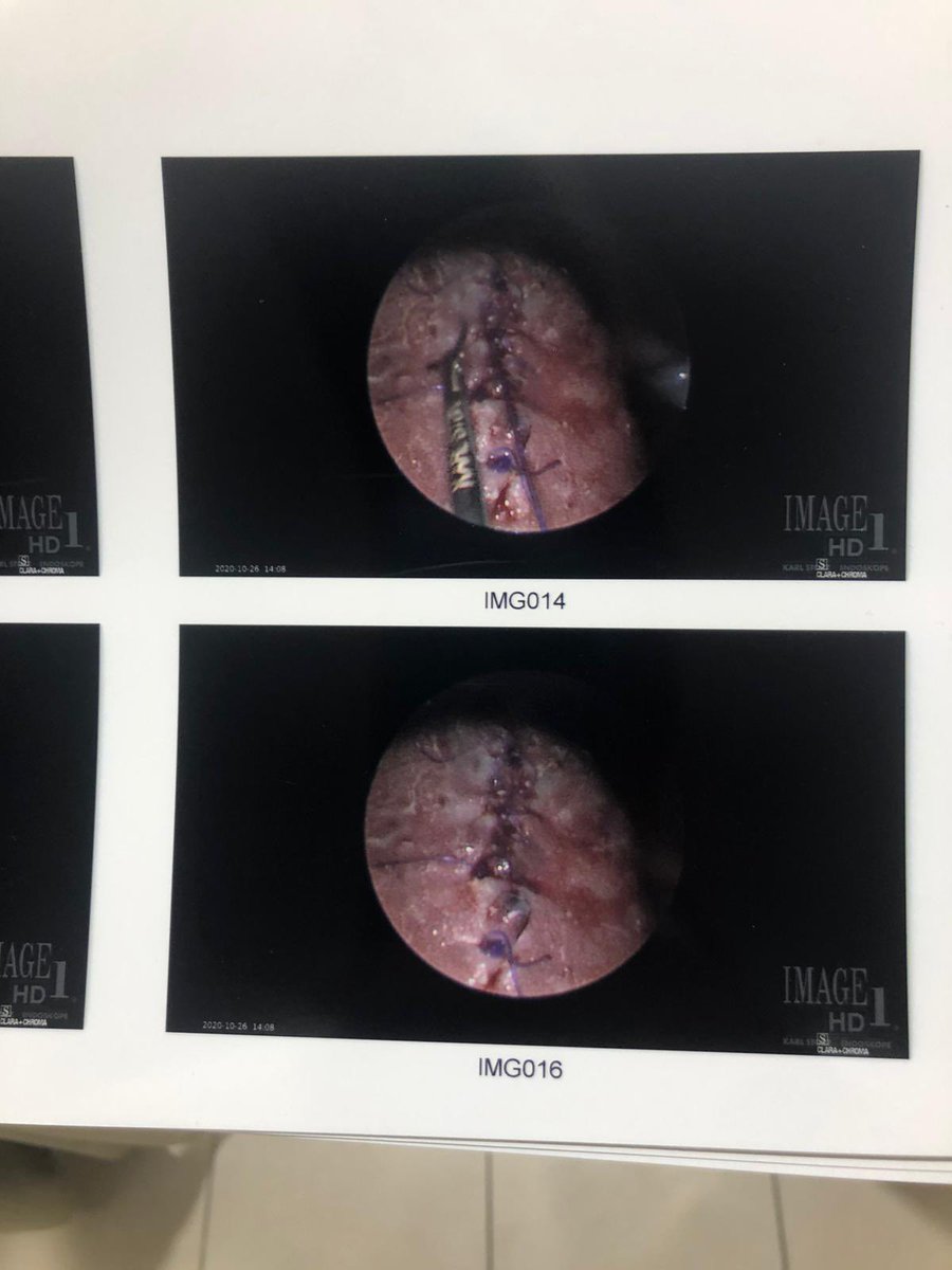 kiersten 🍄 tweet media