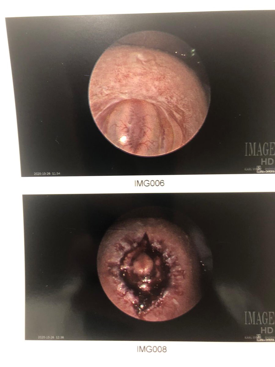 kiersten 🍄 tweet media