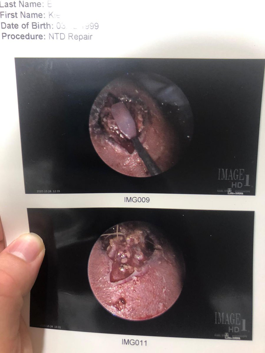 kiersten 🍄 tweet media