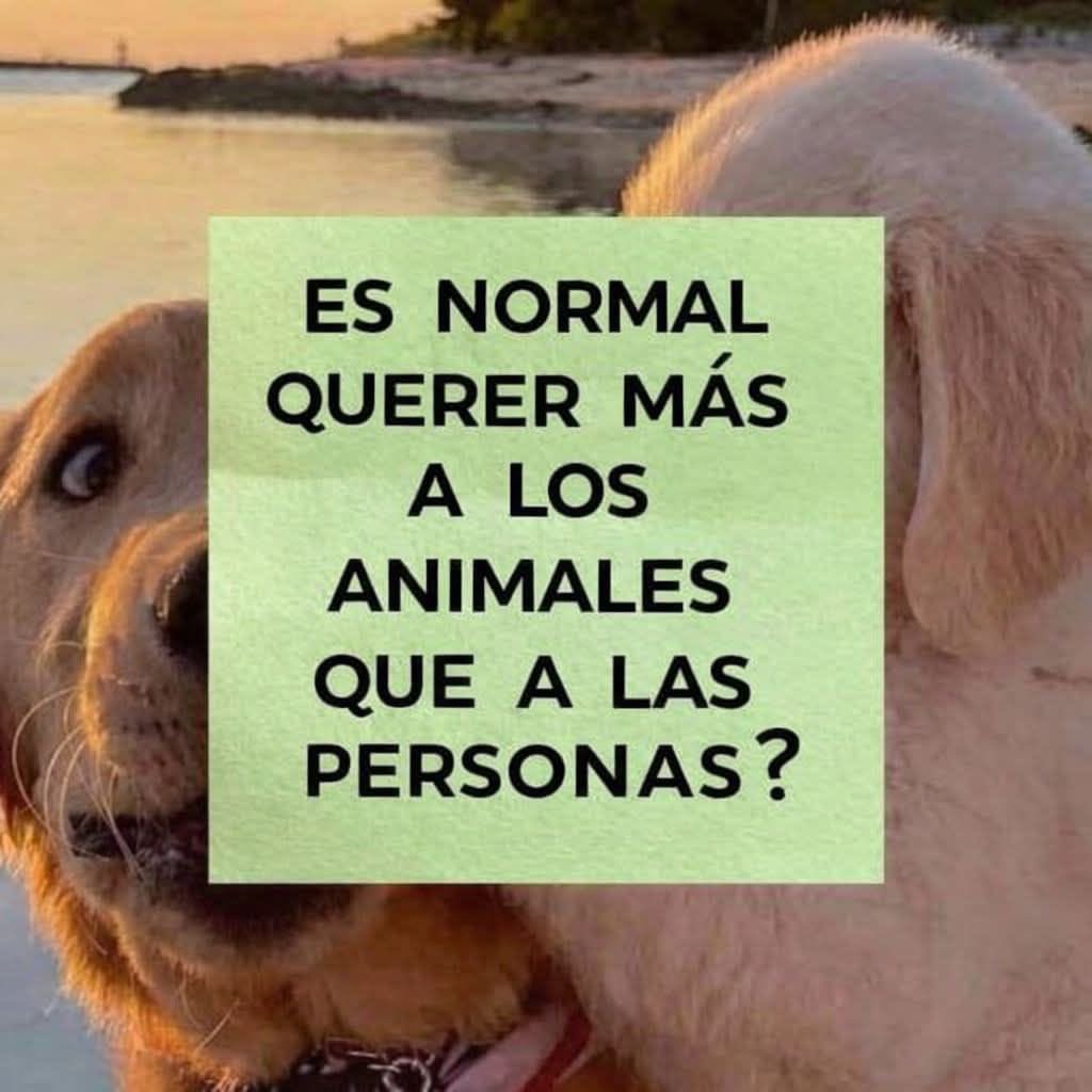 La pregunta del millón.