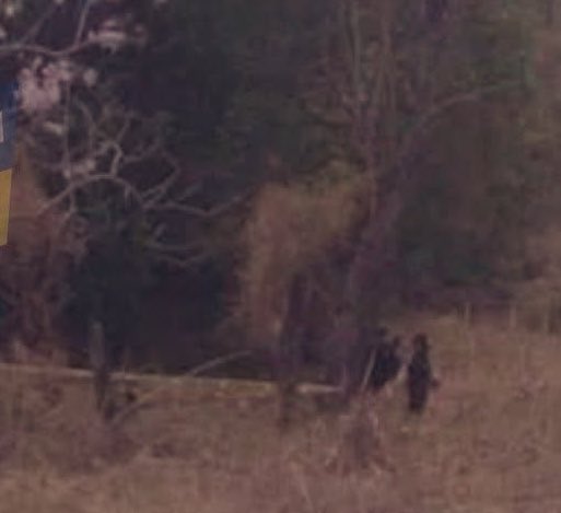 ENCUENTRAN MUJER SIN VIDA

Esta mañana en un predio ubicado en Cantón Agua Santa de San Antonio del Monte, Sonsonate; ha sido localizado el cuerpo sin vida de una mujer no identificada. Si tiene parientes desaparecidos en esa zona verifique.