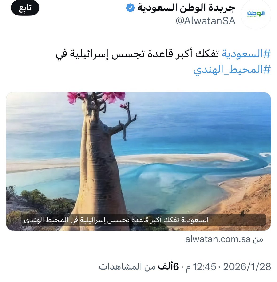 ذئب بريء tweet media