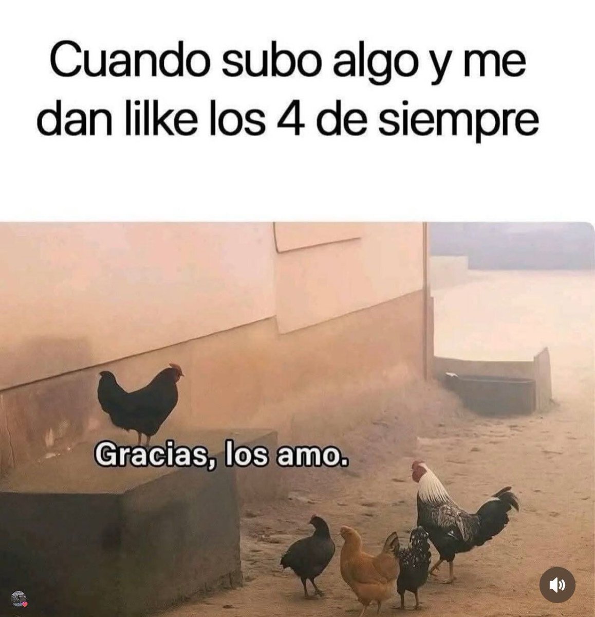 MexicoMagico's tweet image. 