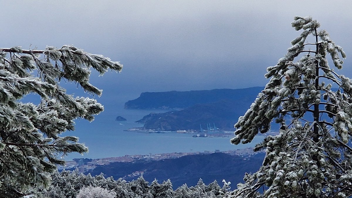 CasalinoManuela's tweet photo. Tinte 28 gennaio
@ParcoBeigua 
#liguria https://t.co/BGZVEEm2dg