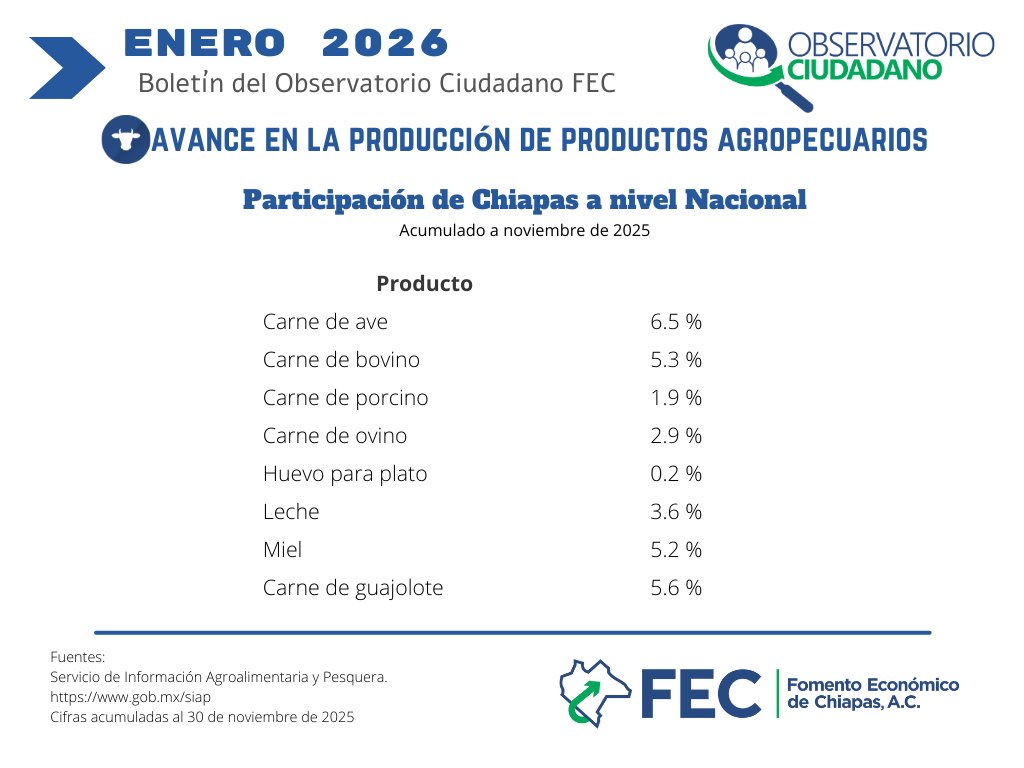 #SabíasQue 📊🇲🇽 Chiapas aporta una parte relevante de la producción pecuaria del país, destacando en carne de ave, bovino, leche y miel, fortaleciendo el abasto nacional. #SectorPecuario #ProducciónNacional #ObservatorioCiudadanoFEC #Chiapas #ChiapasEnCifras