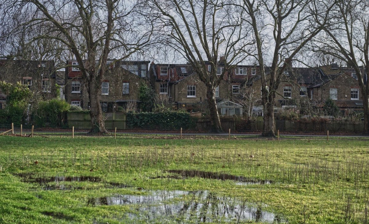 SAVE LAMMAS PARK tweet media