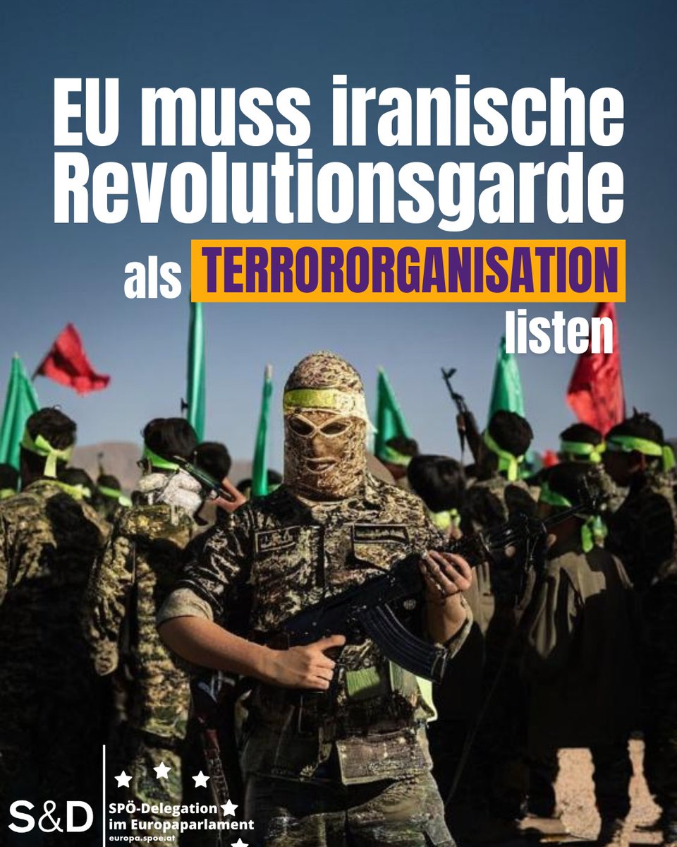 SPÖ im EU Parlament tweet media