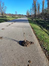 Resumen, <a href="/Tebasjavier/">Javier Tebas Medrano</a>, montate aqui y vete tu a denunciar bares con tu prima la coja

Y lo digo sin acritud,......pero lo digo