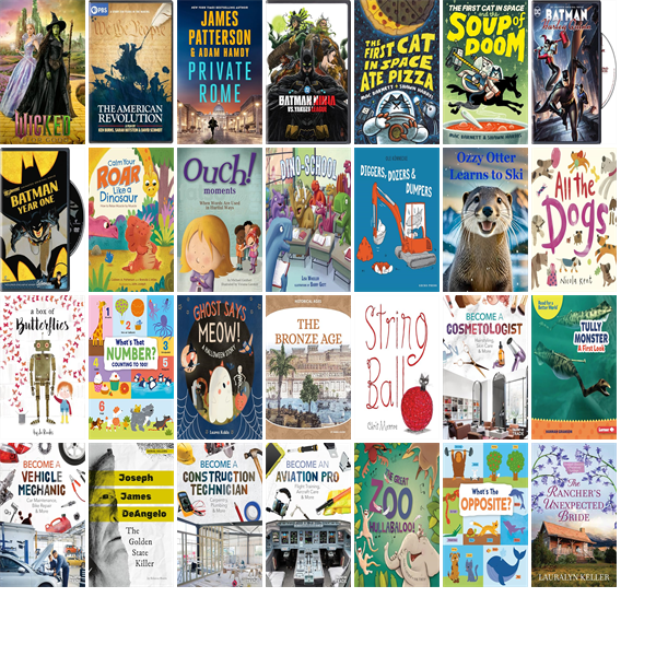 Somerset Co. Library tweet media