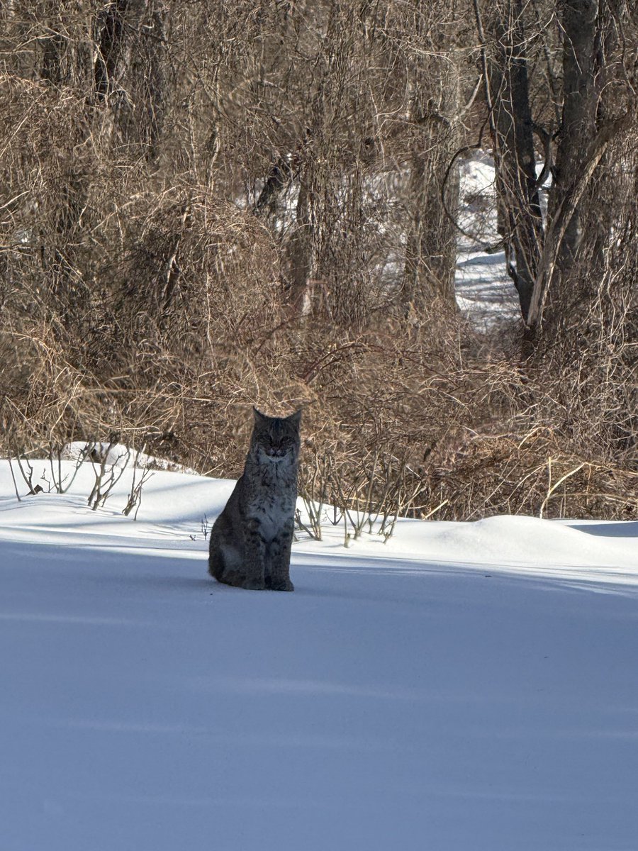 Rand Pecknold tweet media