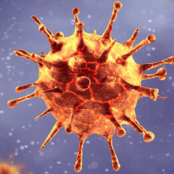 choquei's tweet image. 🚨ATENÇÃO: Este é Mariano Barbacid, o cientista que pode ter descoberto a cura para o câncer de pâncreas.