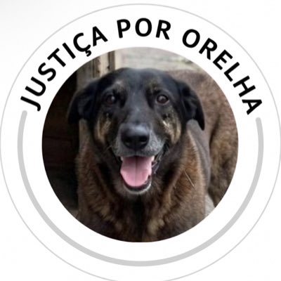 nirvana_dandara's tweet photo. #NovaFotoDePerfil https://t.co/2vHgLmQXma