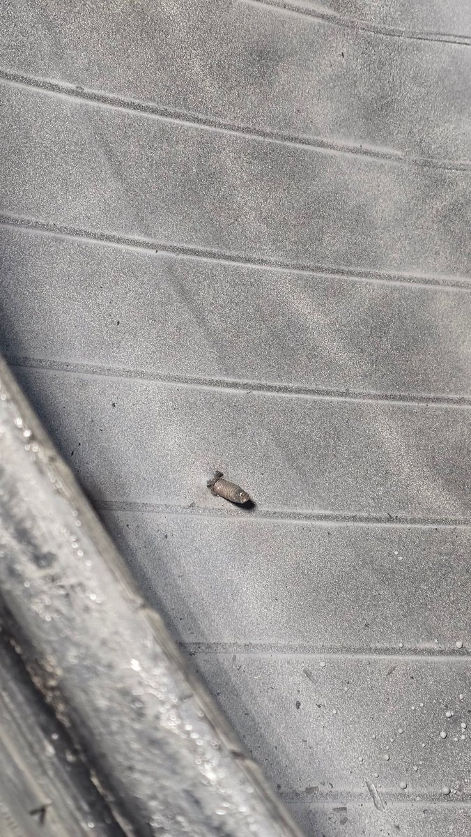 Randy Uhrmacher tweet media