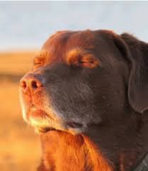 my millennial ass just booked a flight entirely on my phone, no big screen for big purchase. i feel youth coming back to me