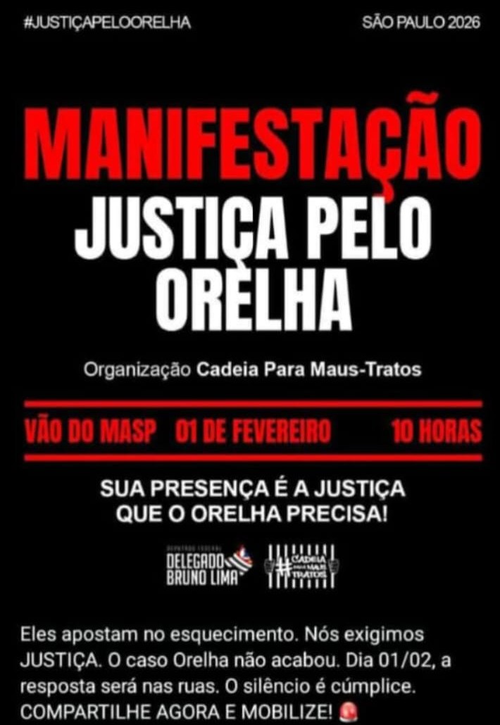 #Orelha