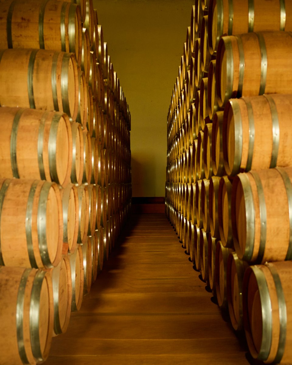 Here, time does the talking. ⏳
Patient aging gives our tequila its depth, balance, and character.
Unhurried. Uncompromised. Always worth the wait.