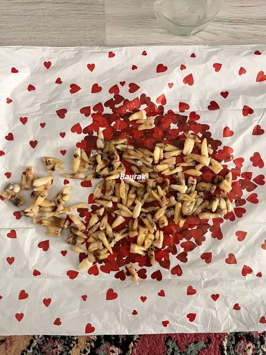 Bayrak Medya tweet media