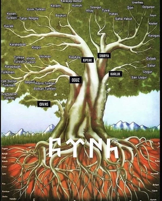 Özüne kültürüne, diline sahip çık.  Türklerin Soy Ağacı.