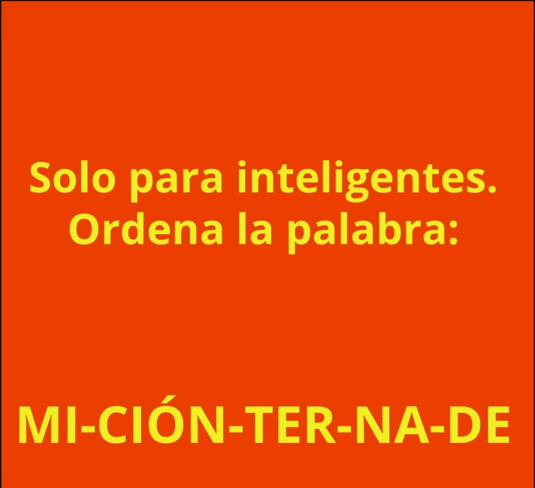 Suricato 💎 tweet media