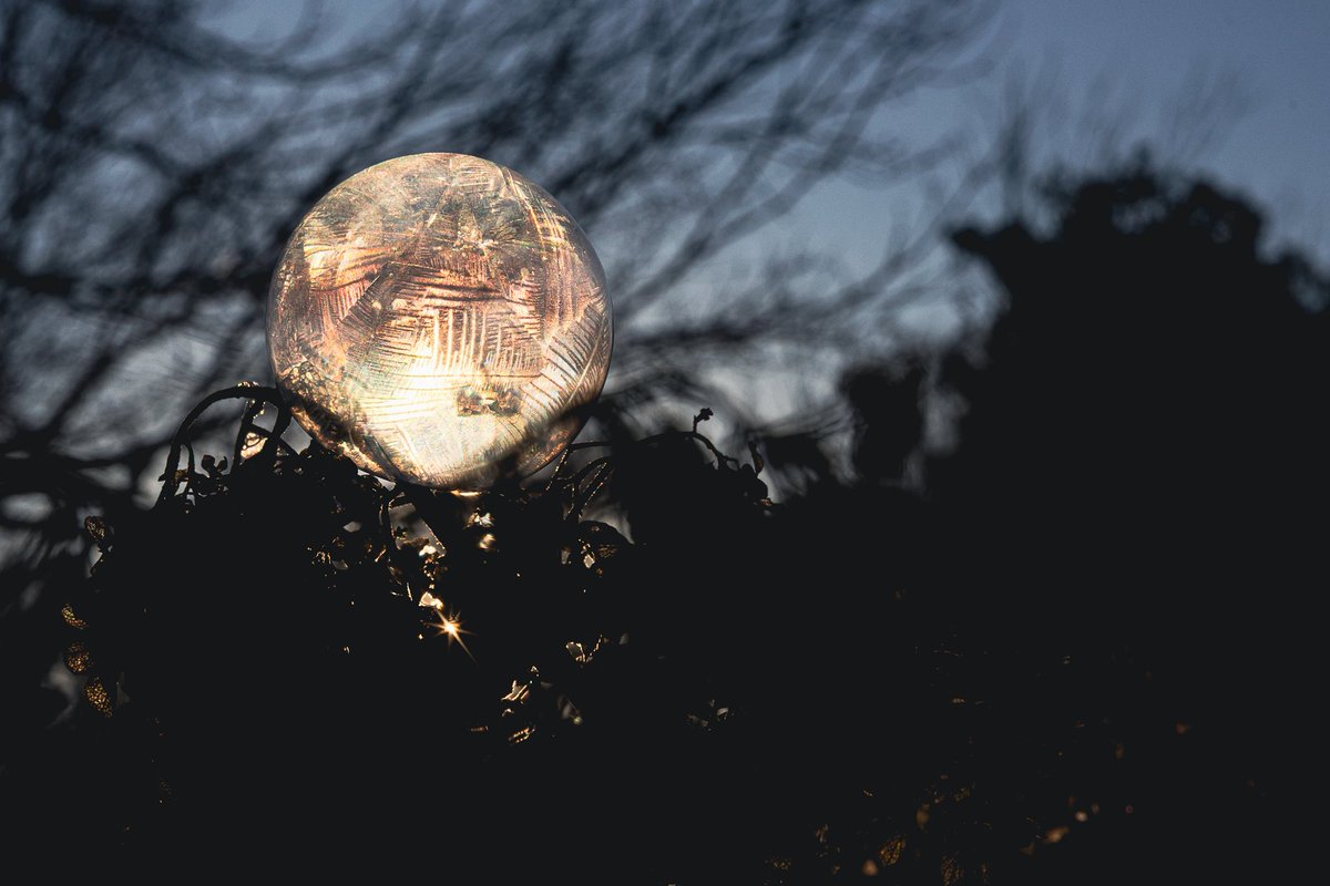 epphillipsphoto's tweet photo. eLearning days = time to disappear into a little photography before getting started for the day. #hobby #winterphotography #frozenbubbles #sunrise #morninglight https://t.co/gS5FZLtdA8