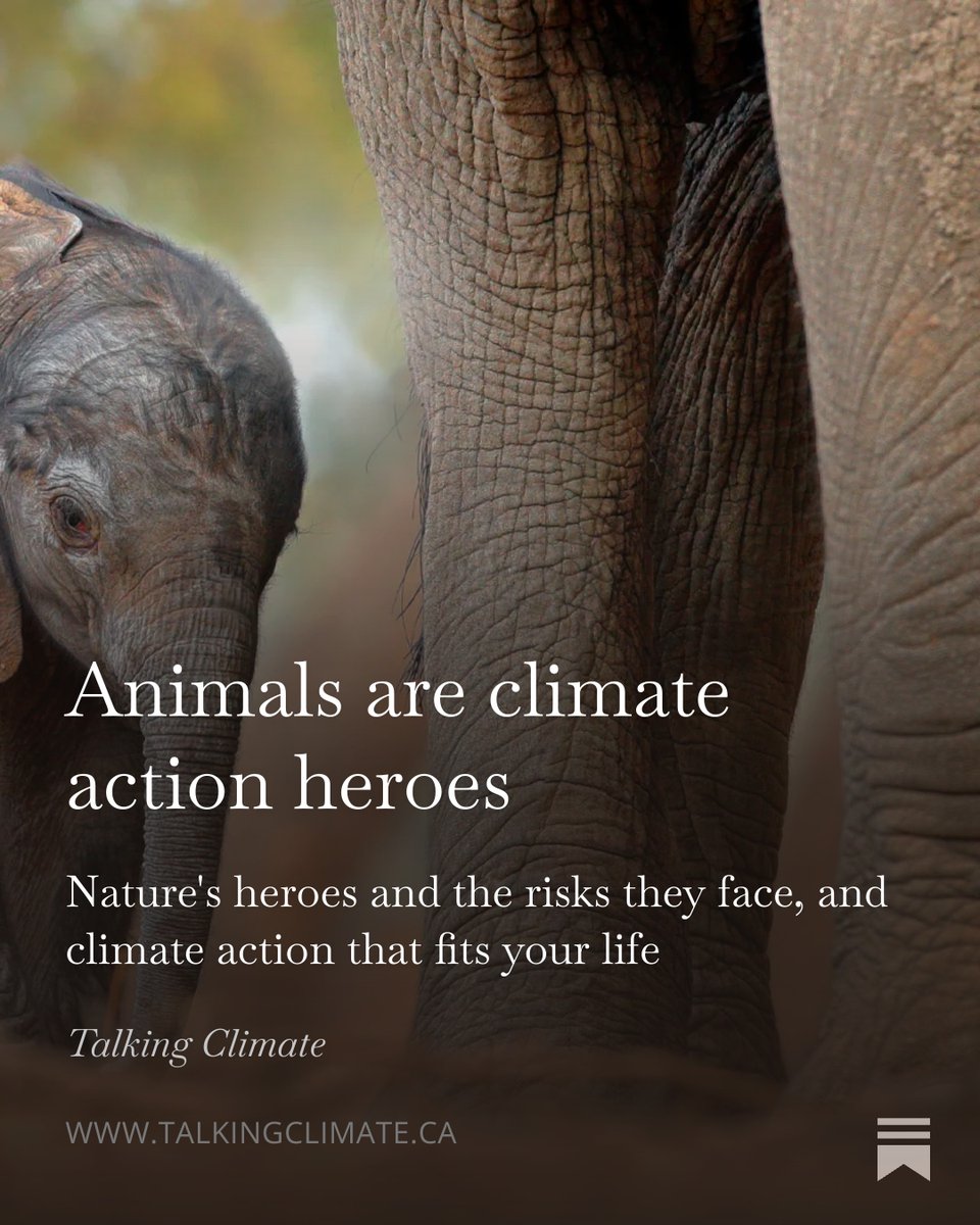 Prof. Katharine Hayhoe tweet media