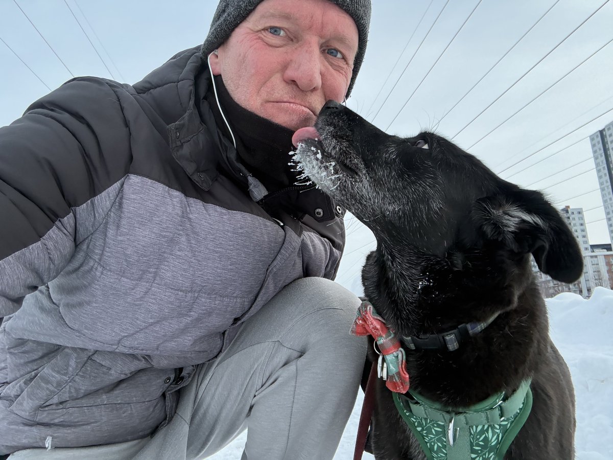 Stu Cowan tweet media