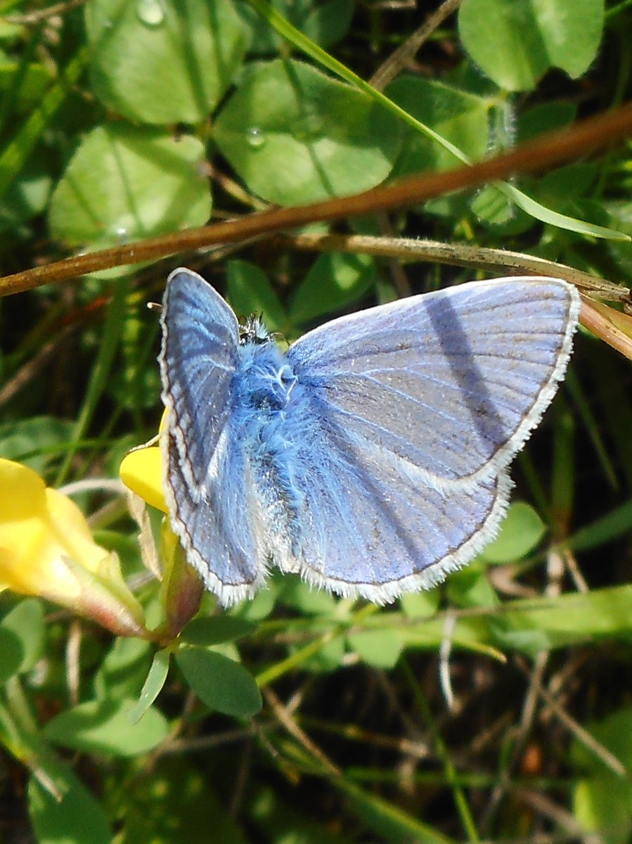 Alexa Wilson tweet media