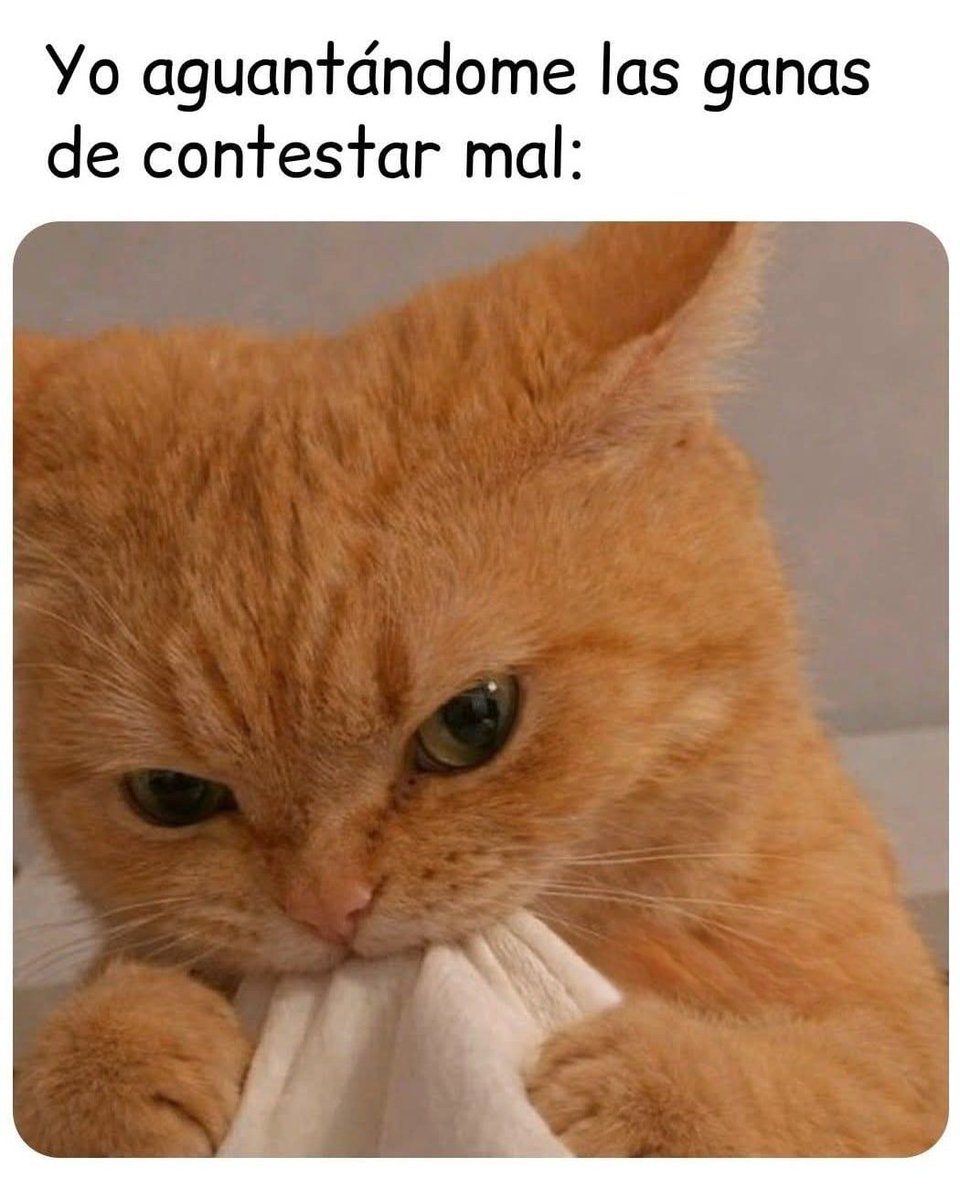 Escritos (@aquilolei) on Twitter photo 