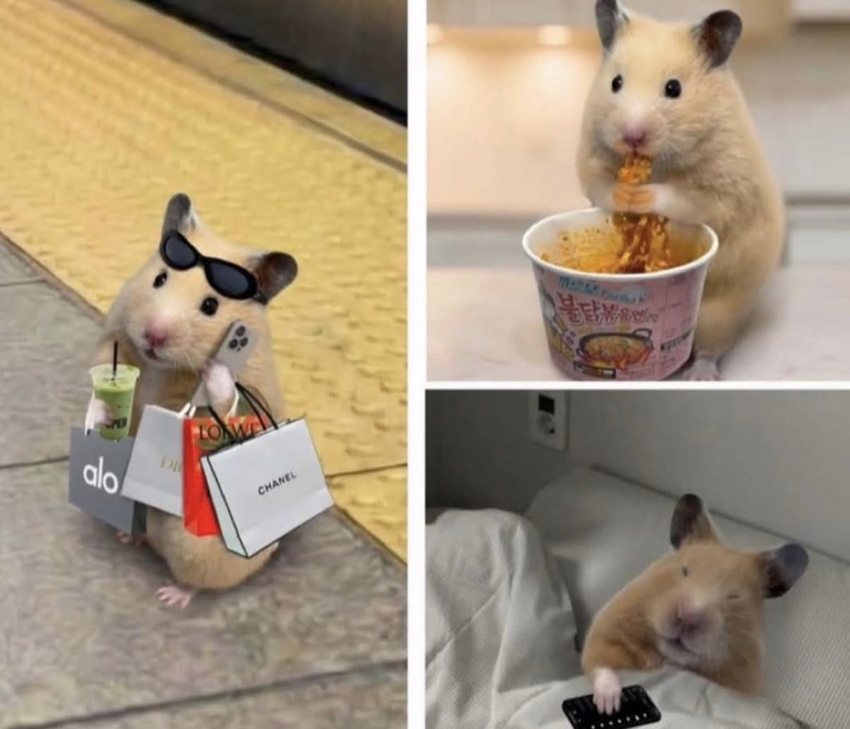 "¿Cuáles son tus hobbies?"
Yo: