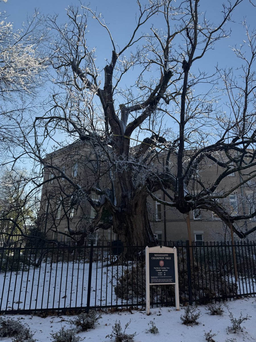 William Kneip tweet media