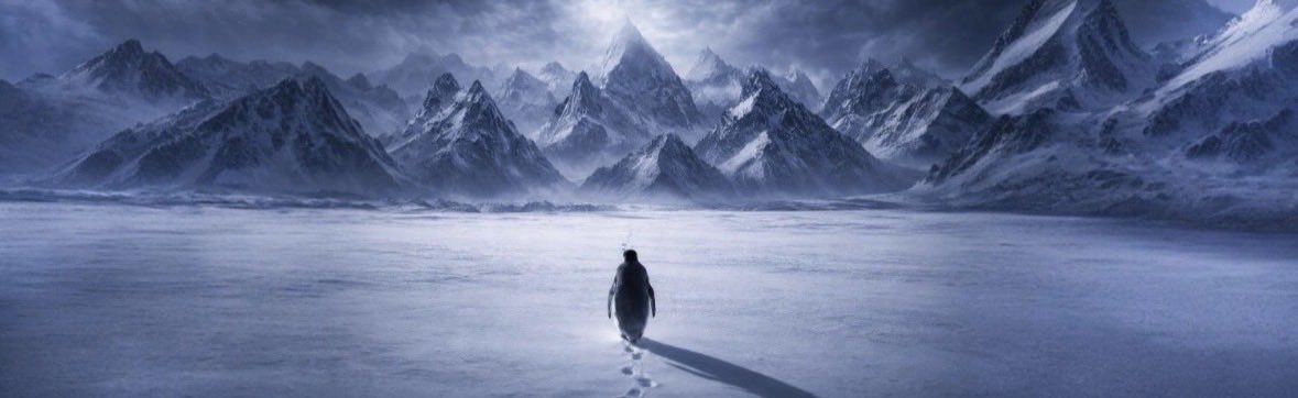 WinterSc00t's tweet image. There is no thesis just a penguin 🐧