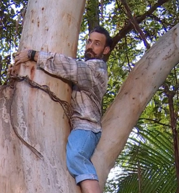 RTL, wenn Jan sich plötzlich weigert vom Baum runter zu kommen #ibes