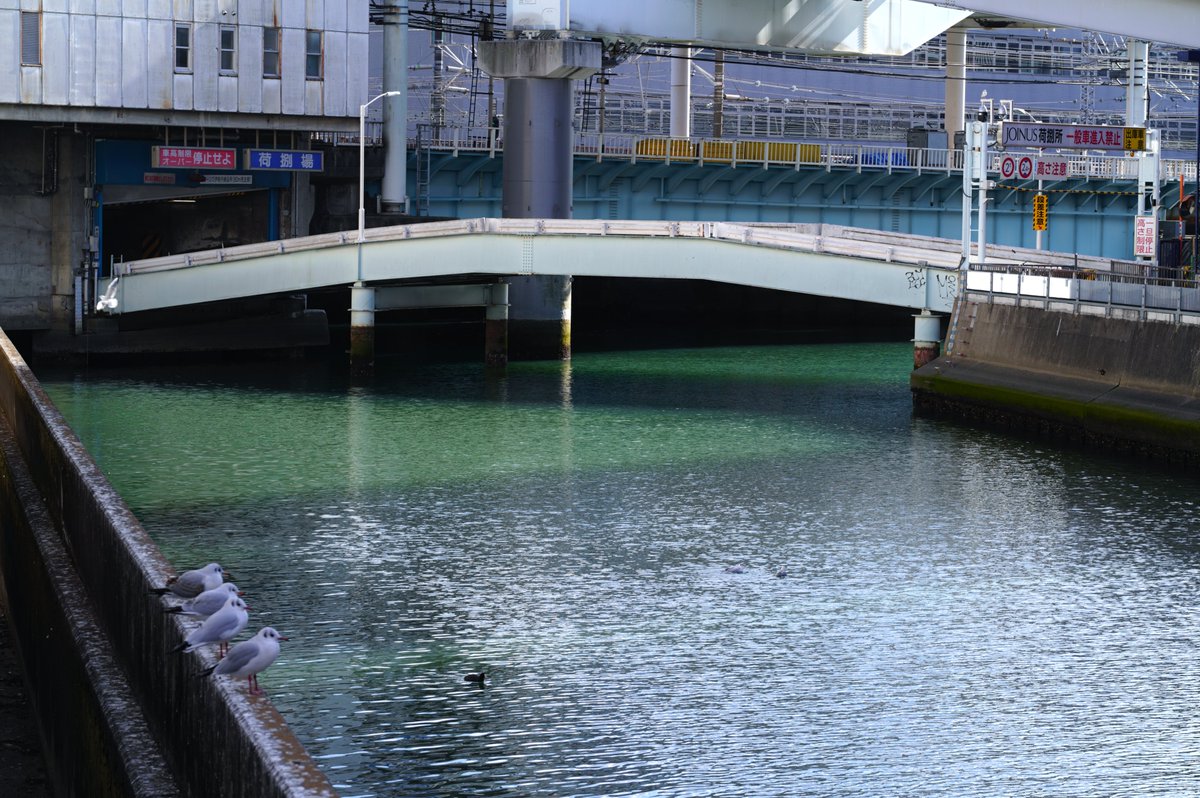 matsu_photovlog's tweet image. 川沿い 一人歩きながら
揺らぐ水面に 癒やされた

SIGMA fp L
SIGMA 105mm F2.8 DG DN MACRO | Art

#SIGMA   
#SIGMAfpL