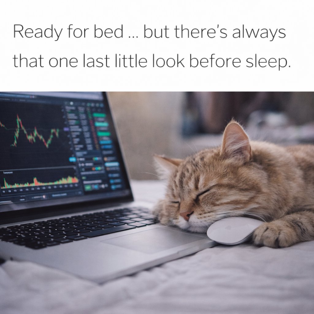 More Crypto Online (@Morecryptoonl) / Posts / X