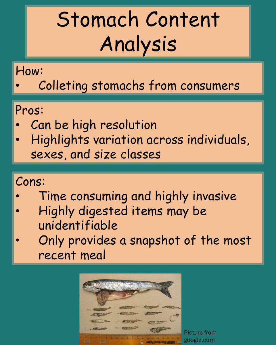 Movement Ecology Lab tweet media