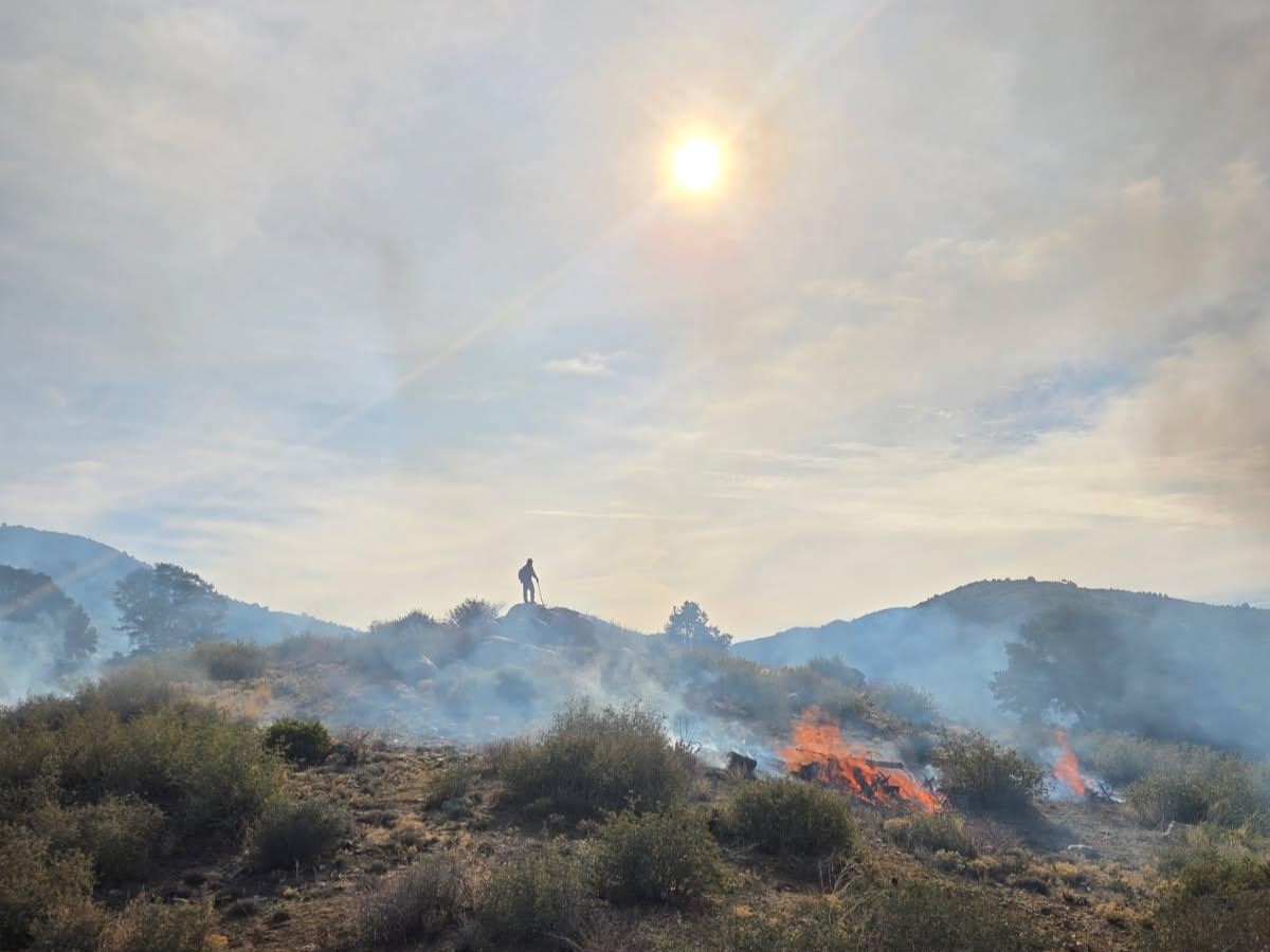 Bureau of Land Management Arizona Fire Management tweet media