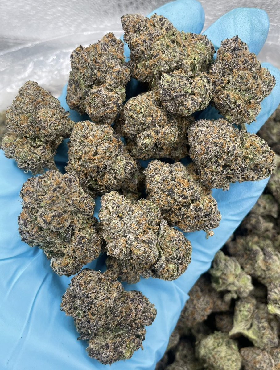 New and best link for cannabis In Munich, Germany 
Weed plug in Munich 
Cannabis dispensary in Munich 
t.me/Krisherbu

#indica #highthc #relaxing #cannabisflower #CannabisCommunity #topshelf #Gelato