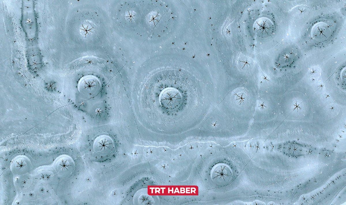 ❄️ Soğuk havanın etkisiyle, Gümüşören Barajı’nda göz bebeğini andıran buz oluşumları ortaya çıktı.

📍Kayseri

tr.trthaber.com/1/6dd49524