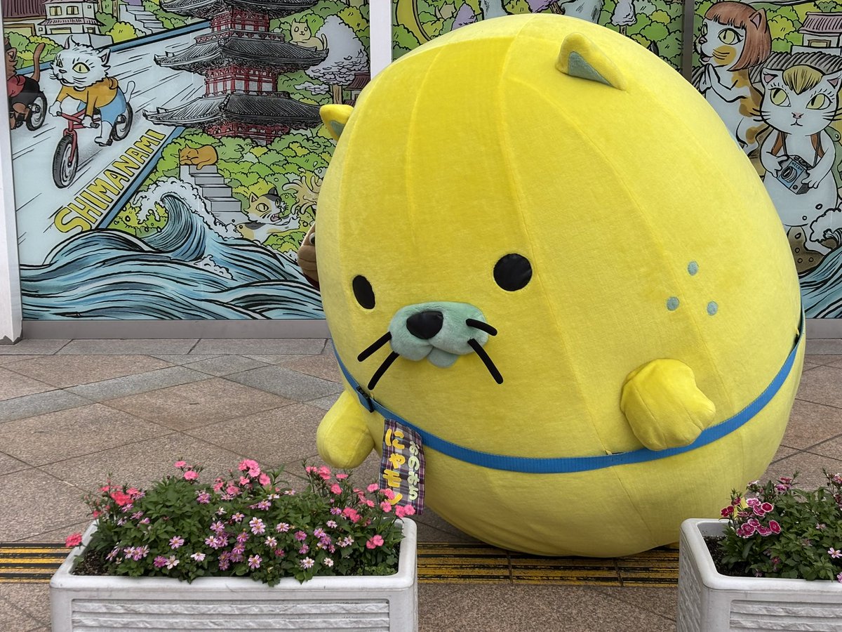 にゃモン 【公式】 (@onomichi_nyamon) / Posts / X