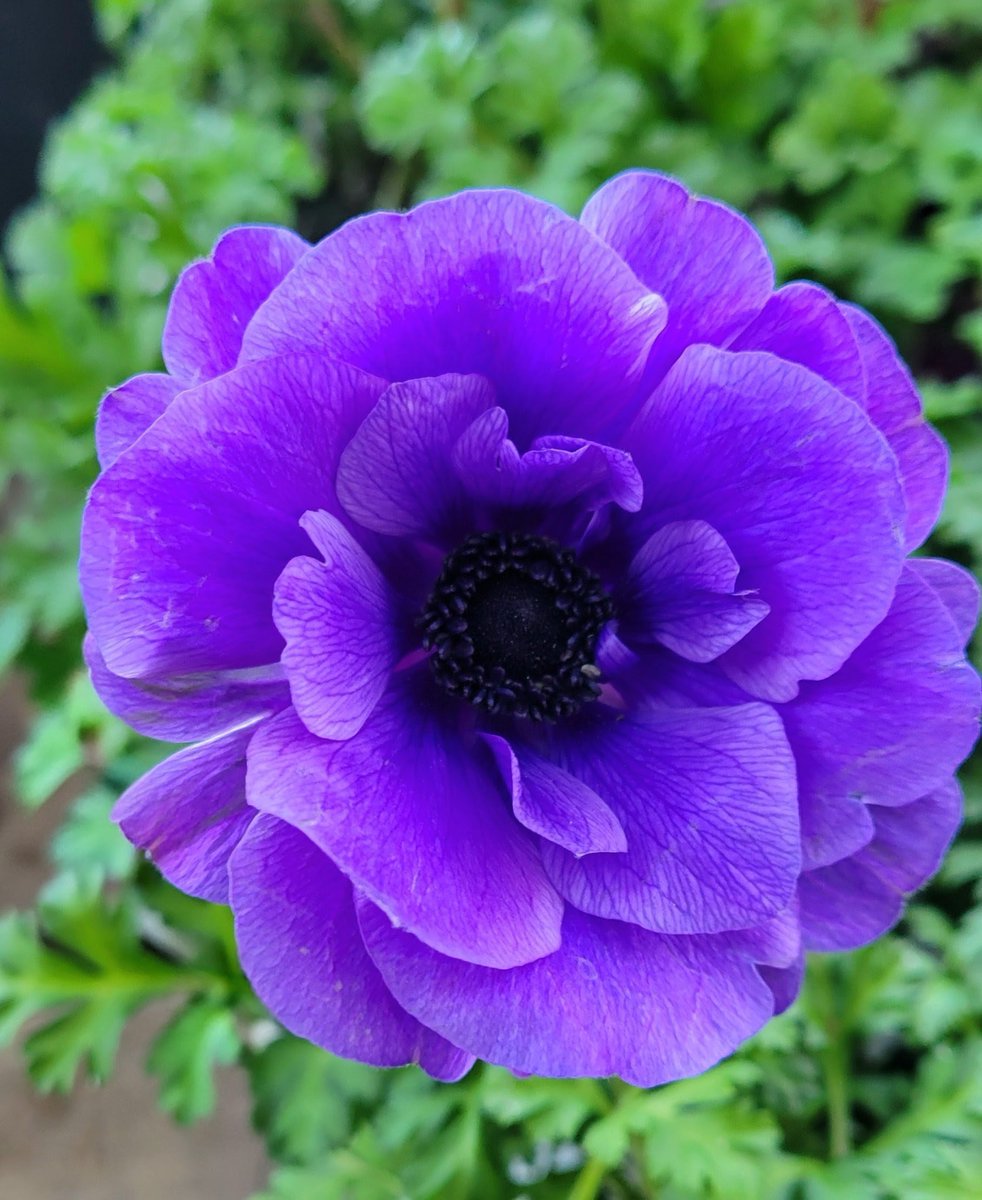 ちゅん (@aebBN6iwx957557) / Posts / X