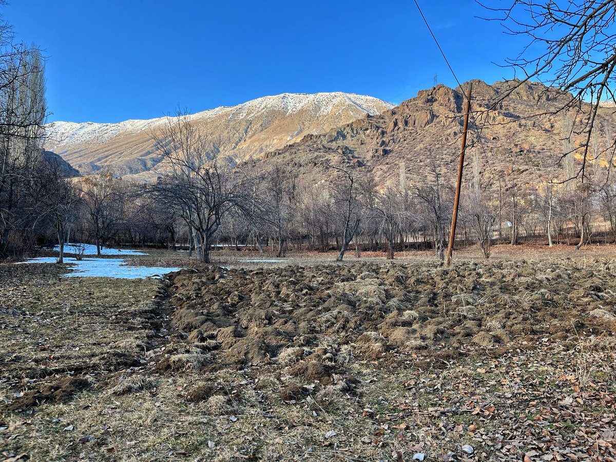 Karnın yardım kazmayınan belinen
Yüzün yırttım tırnağınan elinen
Yine beni karşıladı gülünen 
Benim sâdık yârim kara topraktır

Aşık Veysel Şatıroğlu