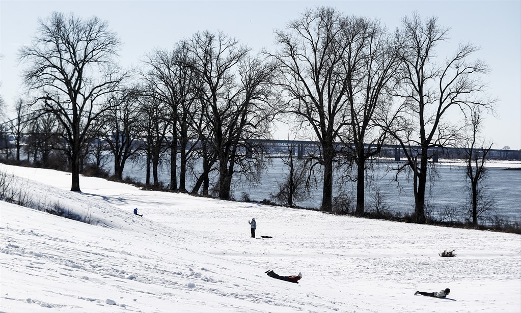 The Daily Memphian tweet media