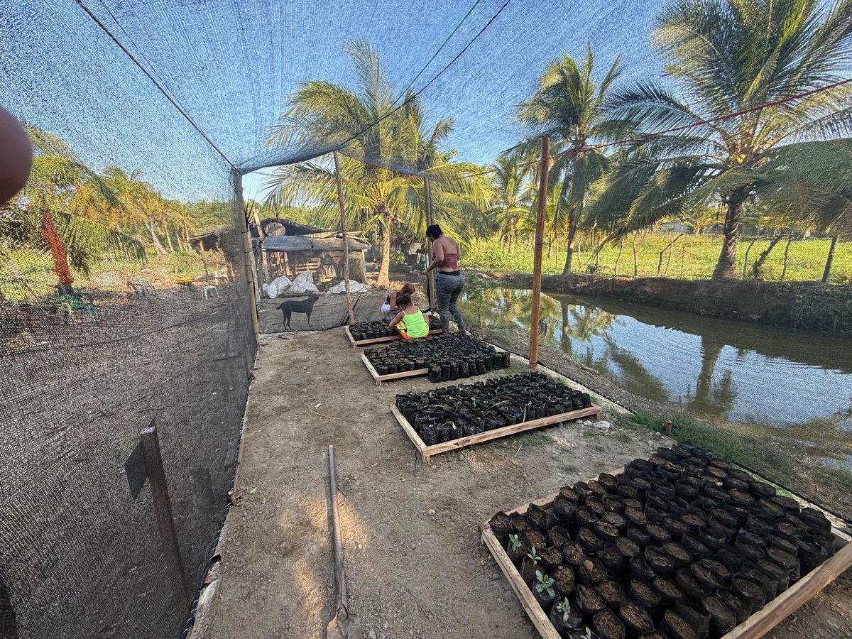 CORPAMAG tweet media