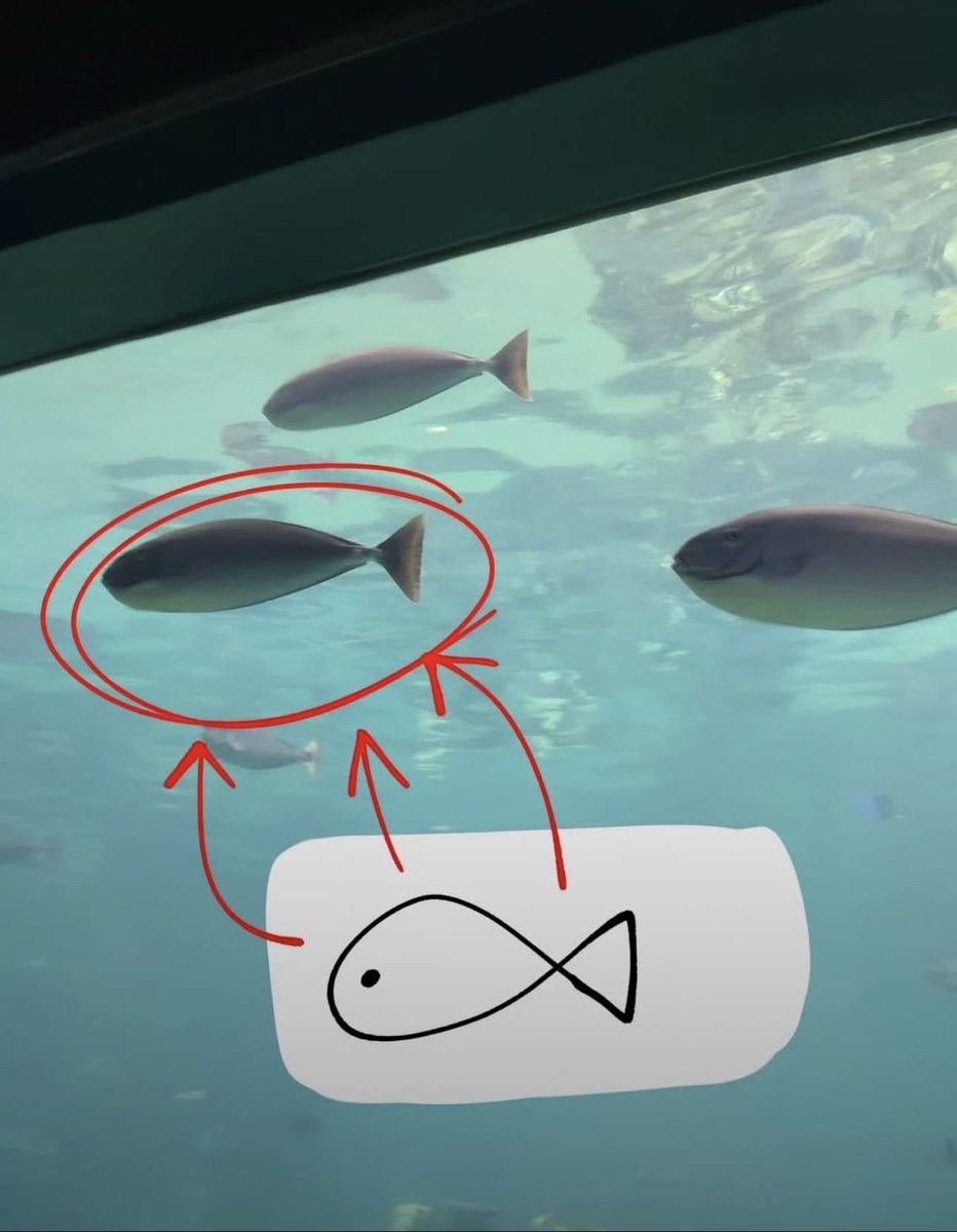 Wild Sentences (@wildsentences) on Twitter photo 