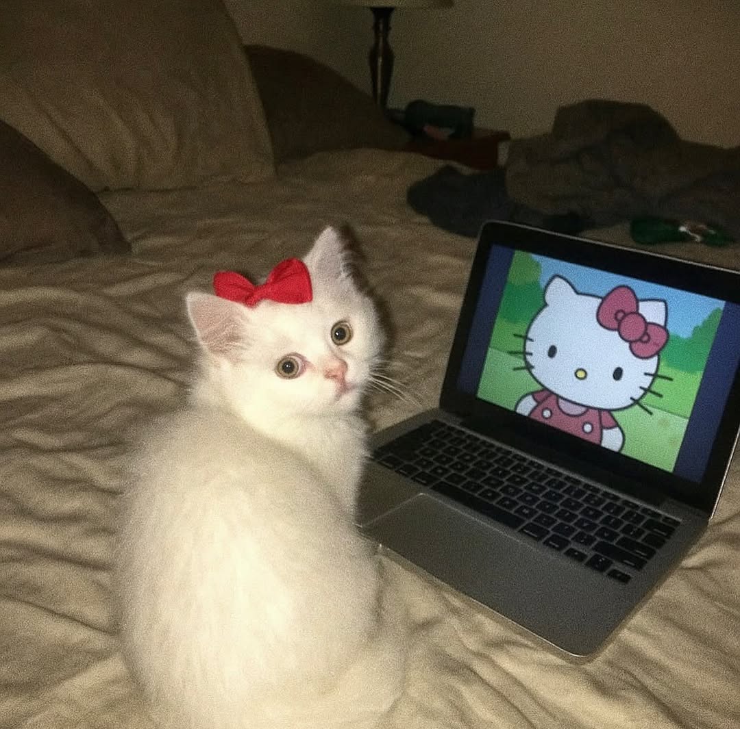 Miaw (@miaw) on Twitter photo 